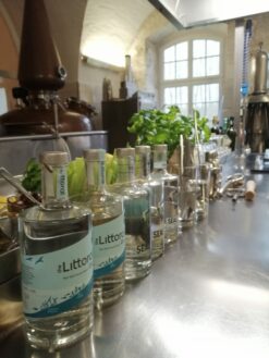 Gin Alchemie Workshop